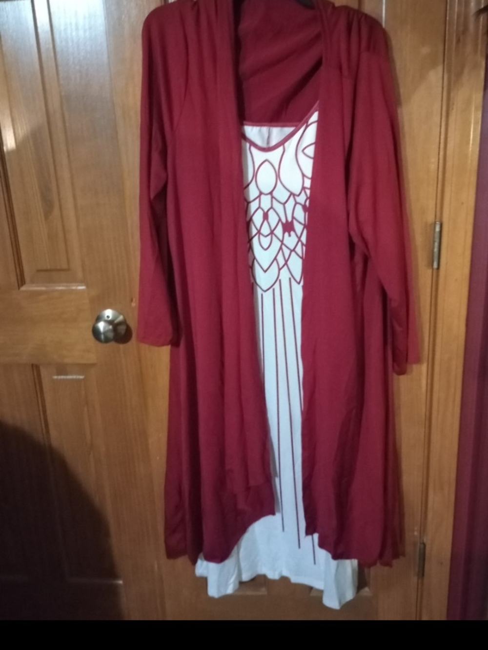 Women’s Red Layered Dress with Printed Slip